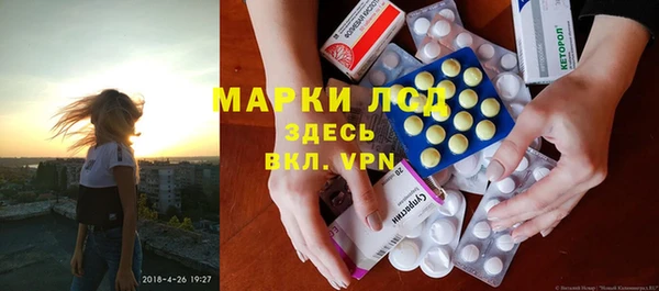 ГАЛЛЮЦИНОГЕННЫЕ ГРИБЫ Волосово