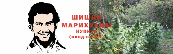 ГАЛЛЮЦИНОГЕННЫЕ ГРИБЫ Волосово