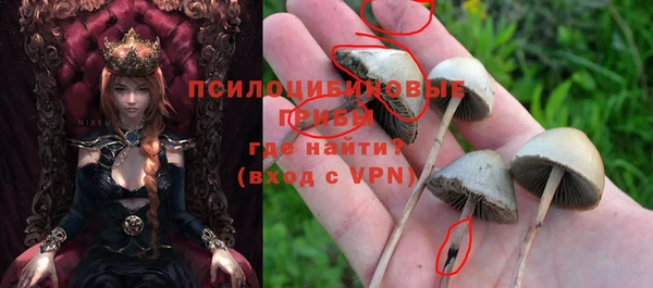 ГАЛЛЮЦИНОГЕННЫЕ ГРИБЫ Волосово