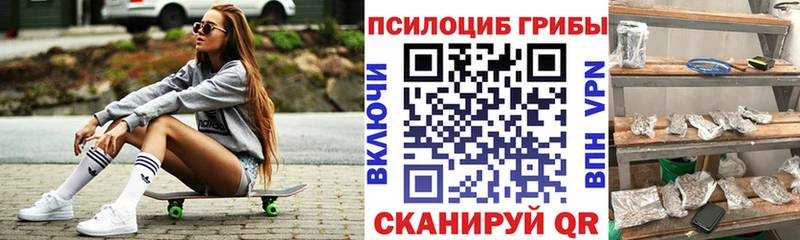Псилоцибиновые грибы прущие грибы  hydra ссылки  Каргат 