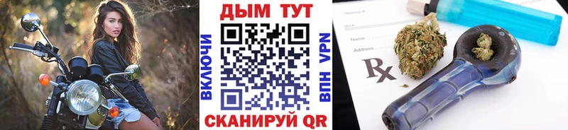 где продают   Каргат  Марихуана семена 