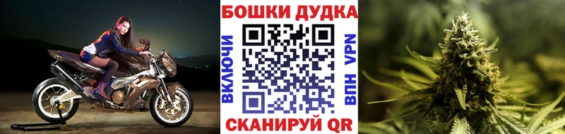 МАРИХУАНА Amnesia Каргат